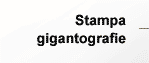 STAMPA GIGANTOGRAFIE